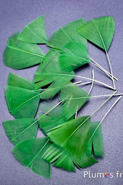 Pétales en plumes - 6-8 x 3-4 cm - vert mousse
